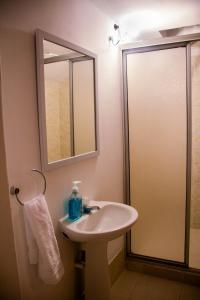 W łazience znajduje się umywalka oraz prysznic z lustrem. w obiekcie Coliving La Rebeca Pereira w mieście Pereira