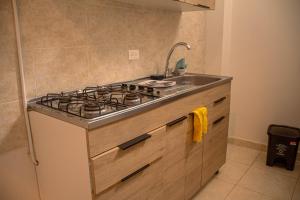 Il comprend une cuisine équipée d'une cuisinière et d'un évier. dans l'établissement Coliving La Rebeca Pereira, à Pereira