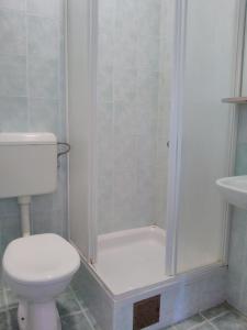a bathroom with a shower with a toilet and a sink at Apartments by the sea Sali, Dugi otok - 444 in Sali