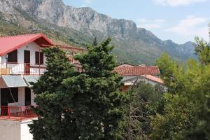 波达卡Rooms with a parking space Podaca, Makarska - 517的山前的松树