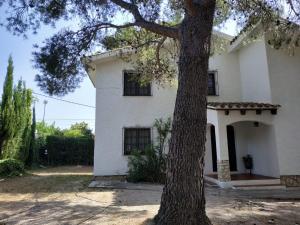 Una casa blanca con un árbol delante. en Villa Génova, en Les tres Cales