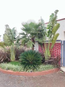 a garden with palm trees in front of a building at Fulgulab Lawns and Home Stay in Junnar