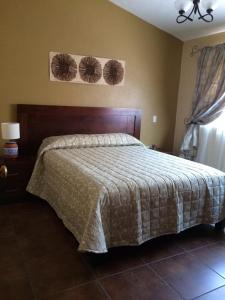 una camera da letto con un letto con un piumone di Villas San Francisco a Huichapan