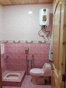 Baño de color rosa con aseo y lavamanos en Tourist Guest House, en Anīahgrām