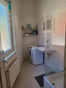 a bathroom with a washing machine and a sink at Große Monteurwohnung oder Fewo bei Nina in Bad Grund