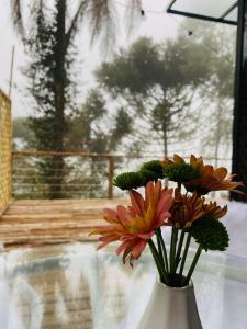 Gallery image of Toca do Pica-Pau - Tiny House em Campos com Lareira e privacidade! in Campos do Jordão