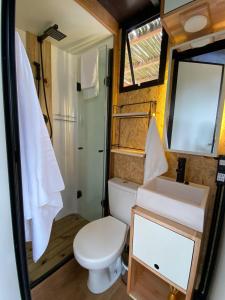 a bathroom with a toilet and a sink and a mirror at Toca do Pica-Pau - Tiny House em Campos com Lareira e privacidade! in Campos do Jordão