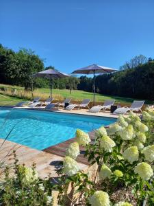 a swimming pool with lounge chairs and umbrellas at Le Clos du Cerf - Silence & nature in Stoumont