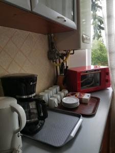 ポイアナ・ブラショフにあるApartament Ana Poiana Brasovのキッチン(コーヒーメーカー、電子レンジ付)