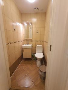 a small bathroom with a toilet and a sink at Center of Helsinki in Helsinki