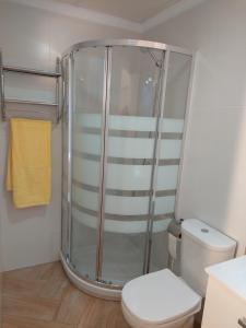 bagno con doccia e servizi igienici. di Citrus Suite by Alhaurín Loft City Center ad Alhaurín de la Torre
