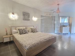 een slaapkamer met een bed en een inloopdouche bij Charmant logement avec piscine in Le Cannet-des-Maures