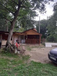 a house with a picnic table and a tree at Pescărie La Nelu in Ohaba-Sibişel