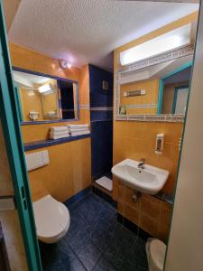 uma casa de banho com um WC e um lavatório em Hôtel Restaurant Le Relais - Pau Nord em Lons