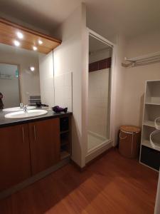 a bathroom with a sink and a shower at Le Cosy Pyrénées pied de pistes Sérias in Germ