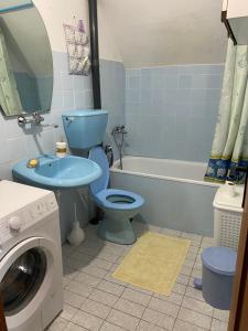 a bathroom with a blue toilet and a bath tub at Apartmani Laušević in Žabljak