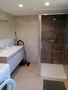 a bathroom with a shower and a sink at Gîte Bartsch in Ungersheim +6 photos