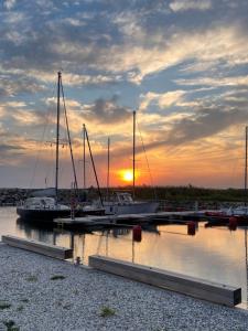 un groupe de bateaux amarrés dans un port de plaisance au coucher du soleil dans l'établissement Künkaotsa, à Värati