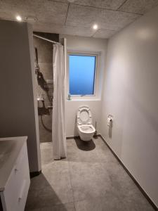 a bathroom with a toilet and a window at Bonico in Horsens