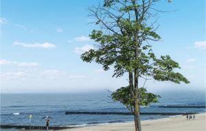 a tree sitting on the beach next to the ocean at 1 Bedroom Nice Apartment In Kolobrzeg in Kołobrzeg