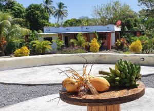 a table with fruit on it with a house in the background at Rancho Tranquillo in Moyogalpa