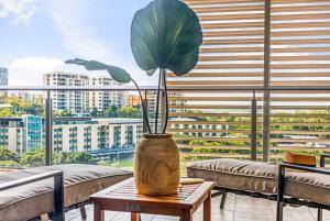 a potted plant sitting on a table in front of a window at Top of Timor Sea A Luxury Waterfront Penthouse in Darwin