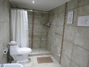 a bathroom with a toilet and a shower at Molar-Hue in Villa Pehuenia