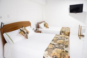 Gallery image of EL BORSALINO - Apartamento en Amazonas, Leticia in Leticia +29 photos