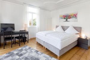 um quarto com uma cama, uma secretária e uma televisão em Gasthaus zum Halbmond em Speyer