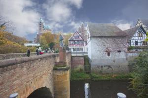 a bridge over a river with a group of buildings at Gasthaus zum Halbmond in Speyer