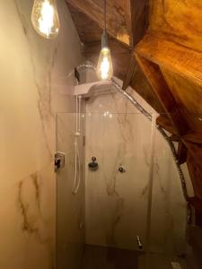 加拉尼溫斯的住宿－Domo do Matto，带淋浴的浴室和玻璃门
