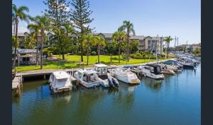 een groep boten aangemeerd in een jachthaven bij Bayview Bay Apartments and Marina in Gold Coast