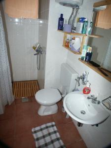 a bathroom with a toilet and a sink at Apartments by the sea Pomena, Mljet - 614 in Pomena