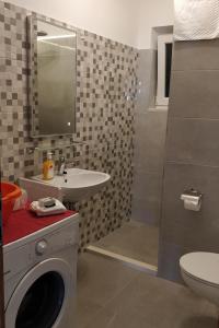 y baño con lavabo y lavadora. en Apartments by the sea Prozurska Luka, Mljet - 618, en Okuklje