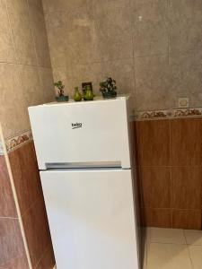 una nevera blanca con macetas encima en Magnifique appartement proche Arribat Center, en Rabat