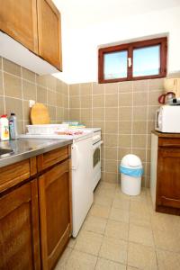 kuchnia ze zlewem i kuchenką górny piekarnik w obiekcie Apartment Zavala 594b w mieście Jelsa