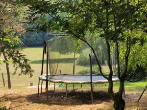 a swing in the middle of a tree at Alluring Cottage in Englancourt with Fenced Garden in Englancourt