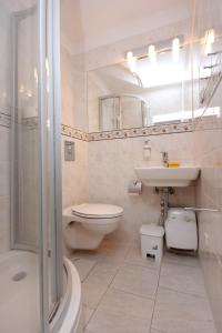 La salle de bains est pourvue de toilettes, d'un lavabo et d'une douche. dans l'établissement Family friendly apartments with a swimming pool Stari Grad, Hvar - 583, à Stari Grad