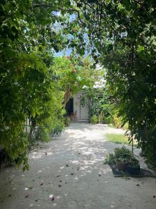 Zahrada ubytování Lagoon Villa Maldives