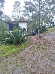 un chemin de terre devant une maison dans l'établissement Mazamitla Pinos del Rio, à Mazamitla