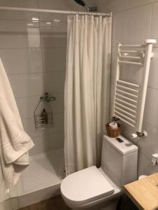 a bathroom with a toilet and a shower with a shower curtain at Departamento residencial Valle Nevado in Lo Barnechea