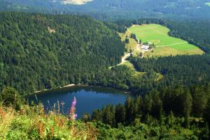 - une vue sur un lac au milieu d'une forêt dans l'établissement Ferienwohnung Regina, à Furtwangen im Schwarzwald
