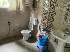 a bathroom with a toilet and a sink at PK cottage in Pahalgām