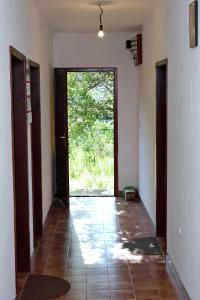 Fotografie z fotogalerie ubytování Apartments by the sea Prozurska Luka, Mljet - 617 v destinaci Maranovići