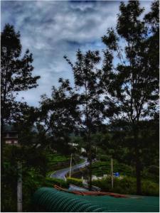 a view of a road and some trees and a street at The Door to Nirvana Backpackers Hostel Kotagiri in Kotagiri