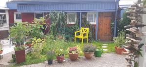 a garden with potted plants and a yellow chair at Kajüthus Apartment 3 in Fehmarn
