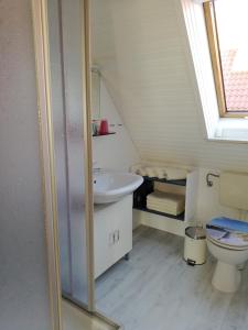 een badkamer met een wastafel en een toilet bij Kajüthus Apartment 3 in Fehmarn