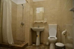 a bathroom with a toilet and a sink at Casa Stefan Galati in Galaţi