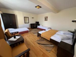SaschizにあるPensiunea Violetaのベッド2台とデスクが備わるホテルルームです。