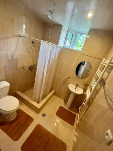 a bathroom with a toilet and a shower and a sink at Inexpensive house in Vanadzor